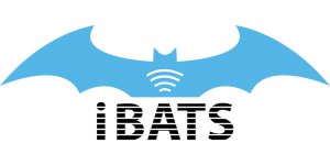 logo ibats